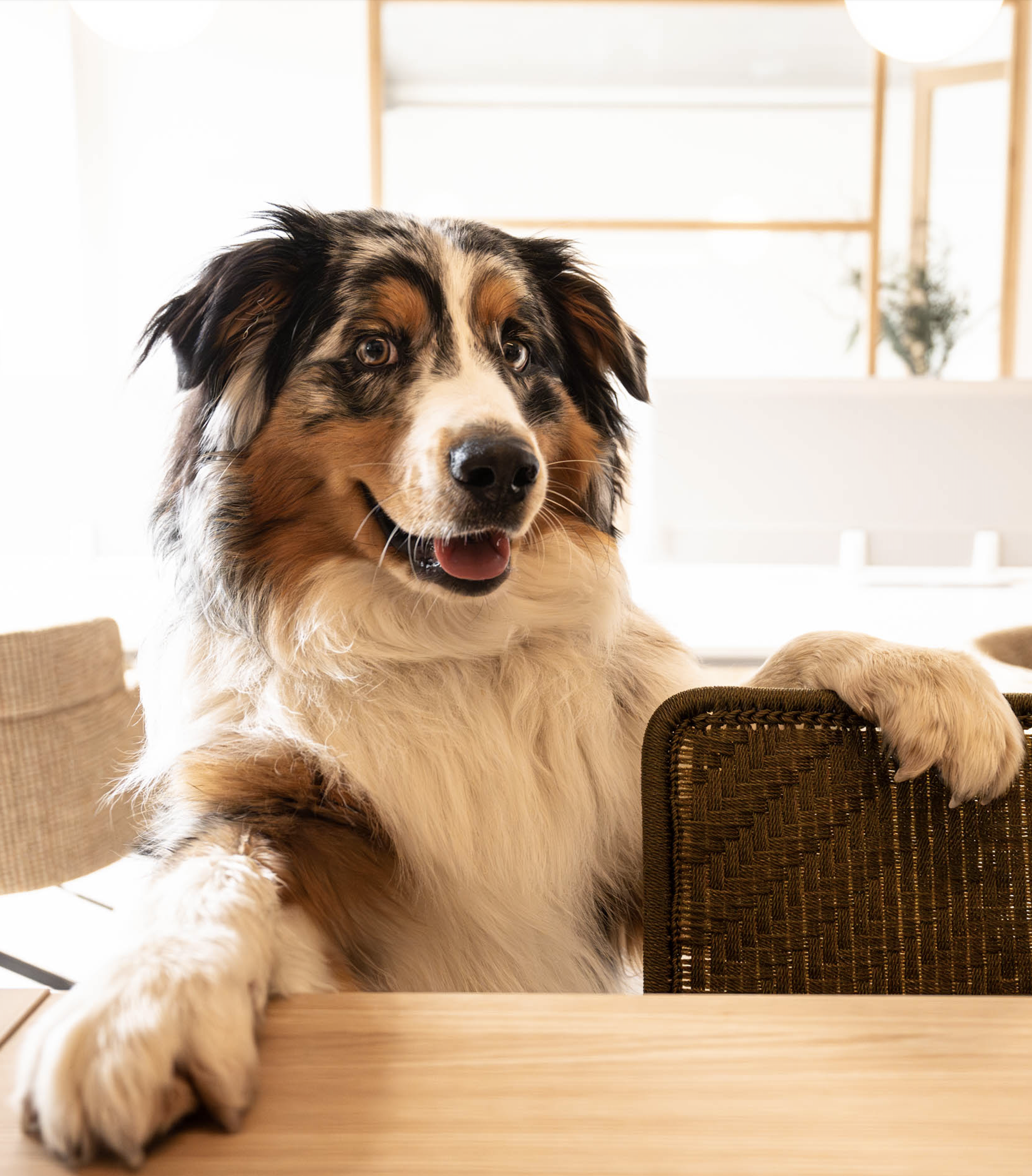 Moon, assistant de Sandrine GM